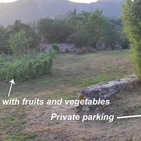 Villa Grecia Liapades Exterior photo